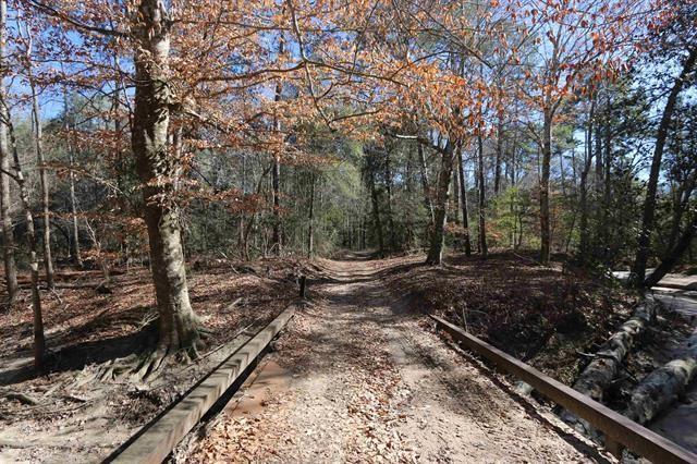 TBD County Rd 1113  , Hemphill, Texas image 5