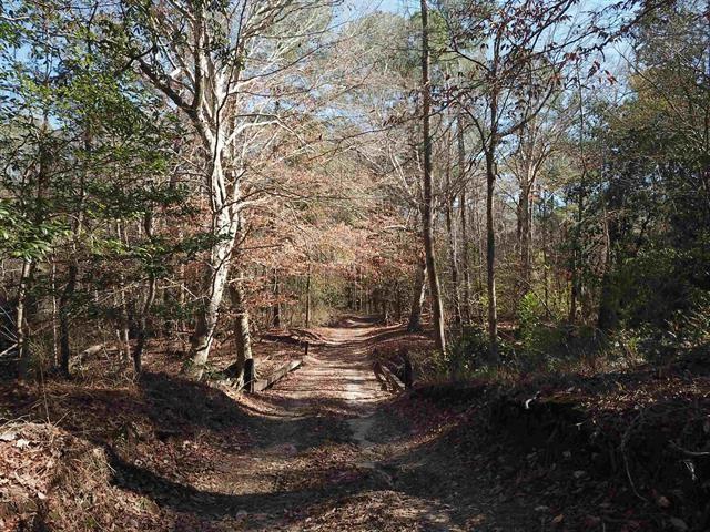 TBD County Rd 1113  , Hemphill, Texas image 6