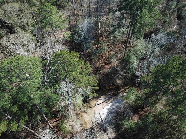 TBD County Rd 1113  , Hemphill, Texas image 7