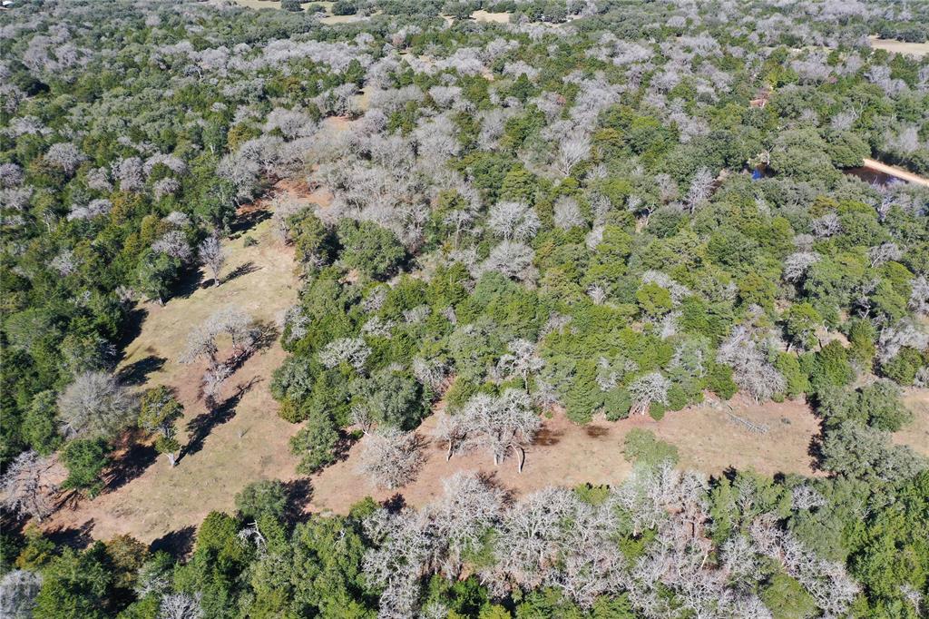 1319 Tract 3 Cr 16a  , Hallettsville, Texas image 14