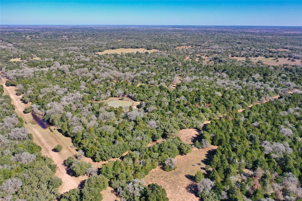 1319 Tract 3 Cr 16a  , Hallettsville, Texas image 9