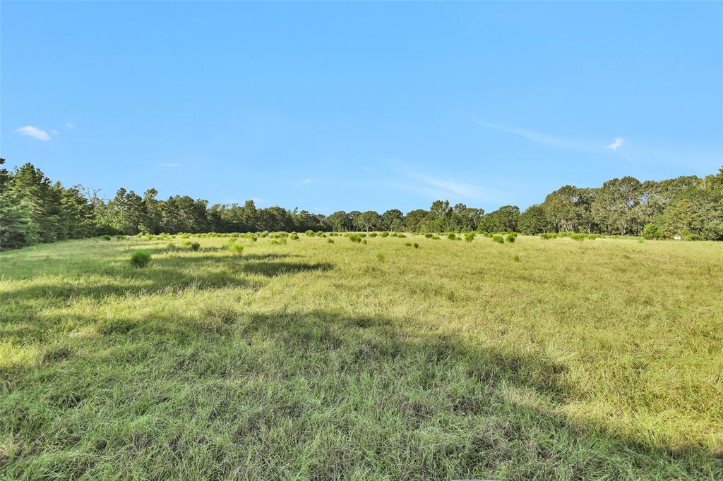 TBD Fm 2693 Road W, New Waverly, Texas image 11