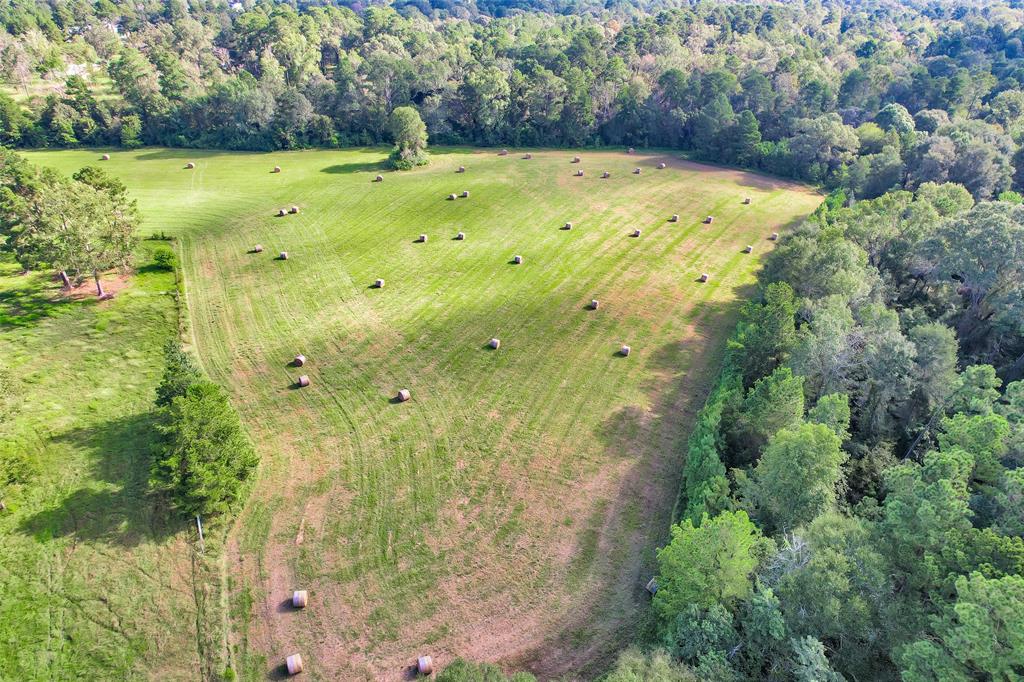 TBD Fm 2693 Road W, New Waverly, Texas image 14