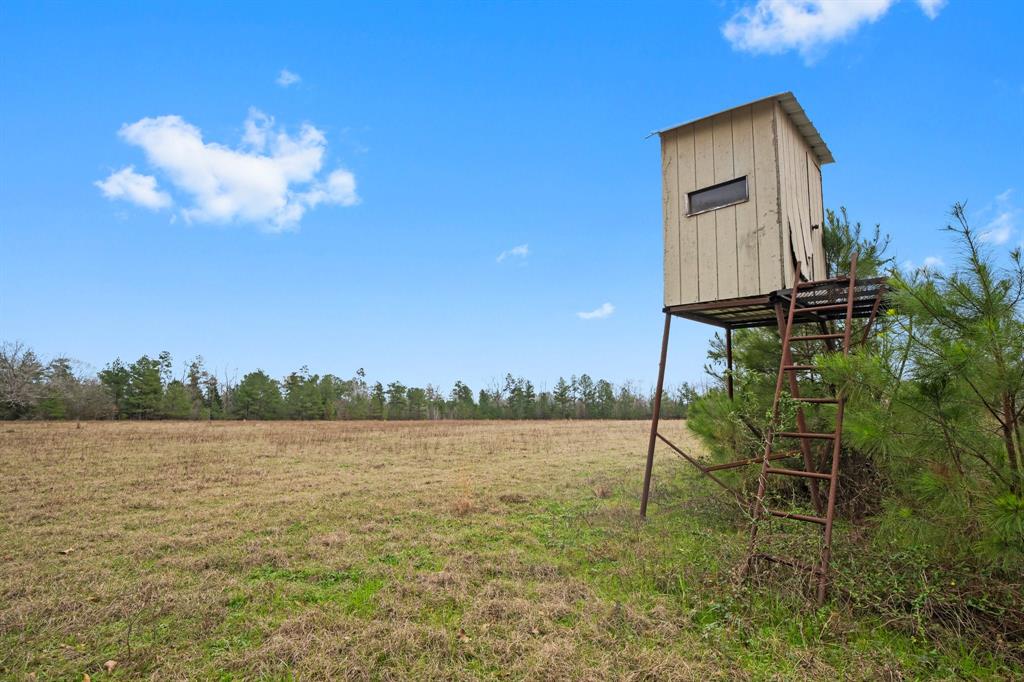 TBD Fm 2693 Road W, New Waverly, Texas image 15