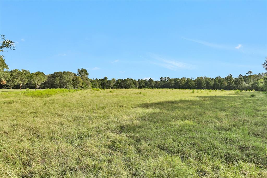 TBD Fm 2693 Road W, New Waverly, Texas image 9