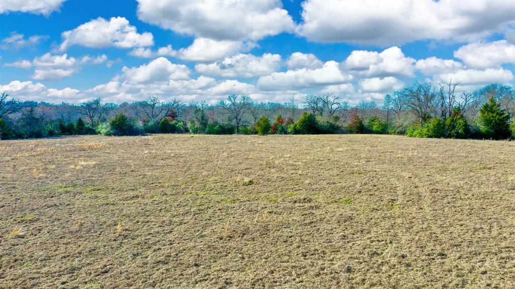 TBD Cr 295  , Oakwood, Texas image 19