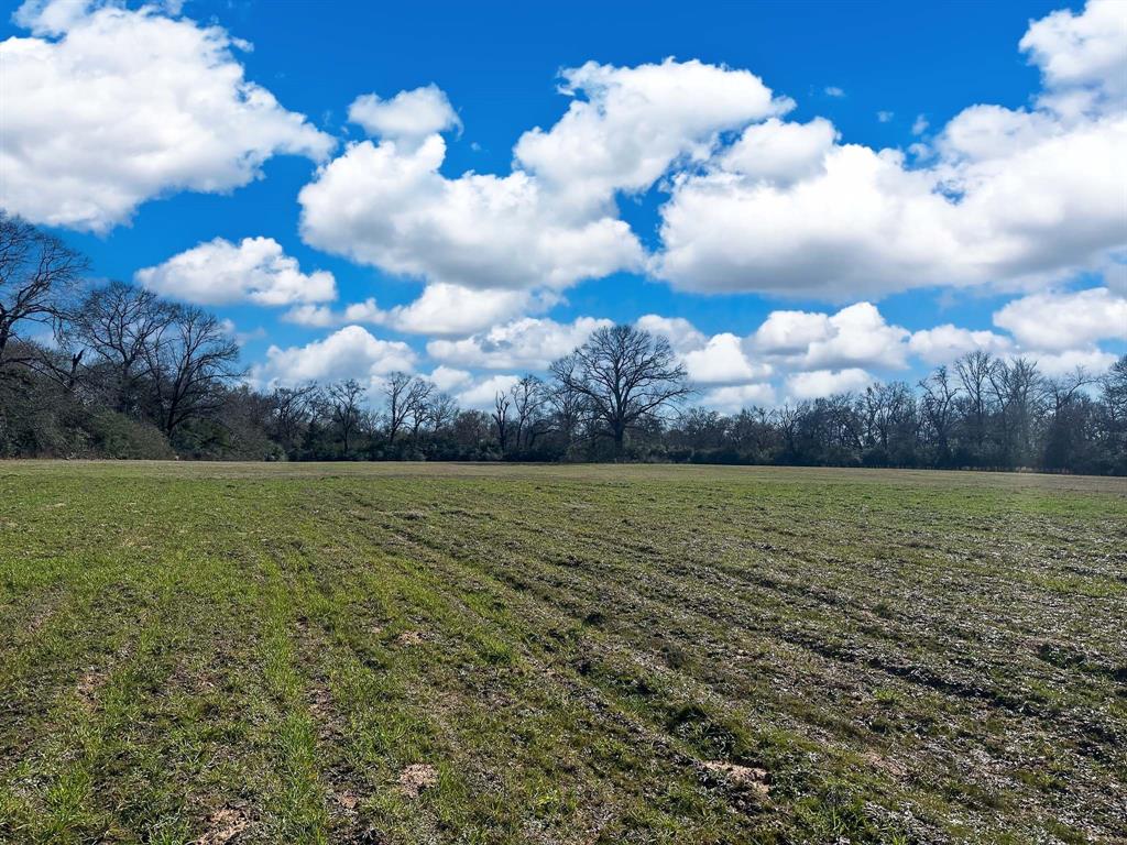 TBD Cr 295  , Oakwood, Texas image 20