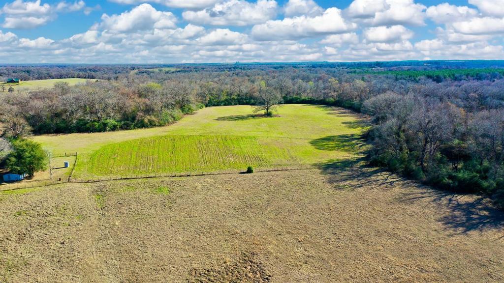 TBD Cr 295  , Oakwood, Texas image 25