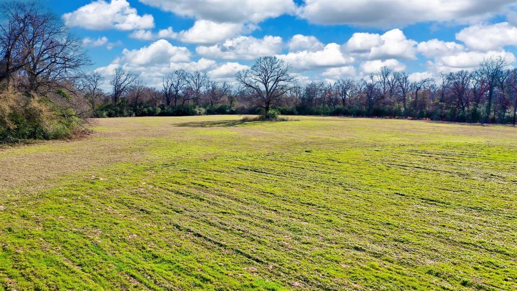 TBD Cr 295  , Oakwood, Texas image 4