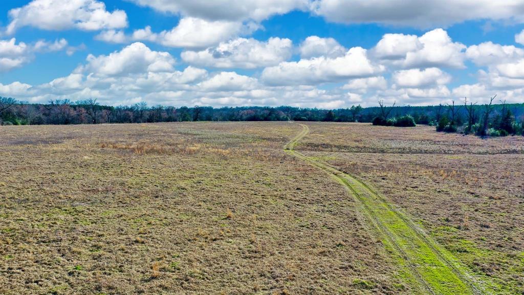 TBD Cr 295  , Oakwood, Texas image 8