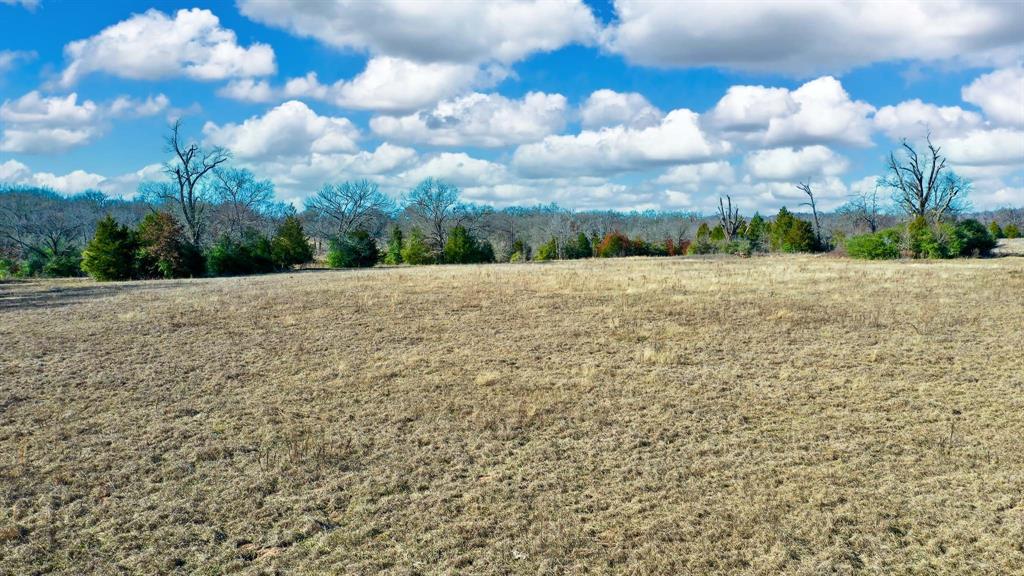 TBD Cr 295  , Oakwood, Texas image 10