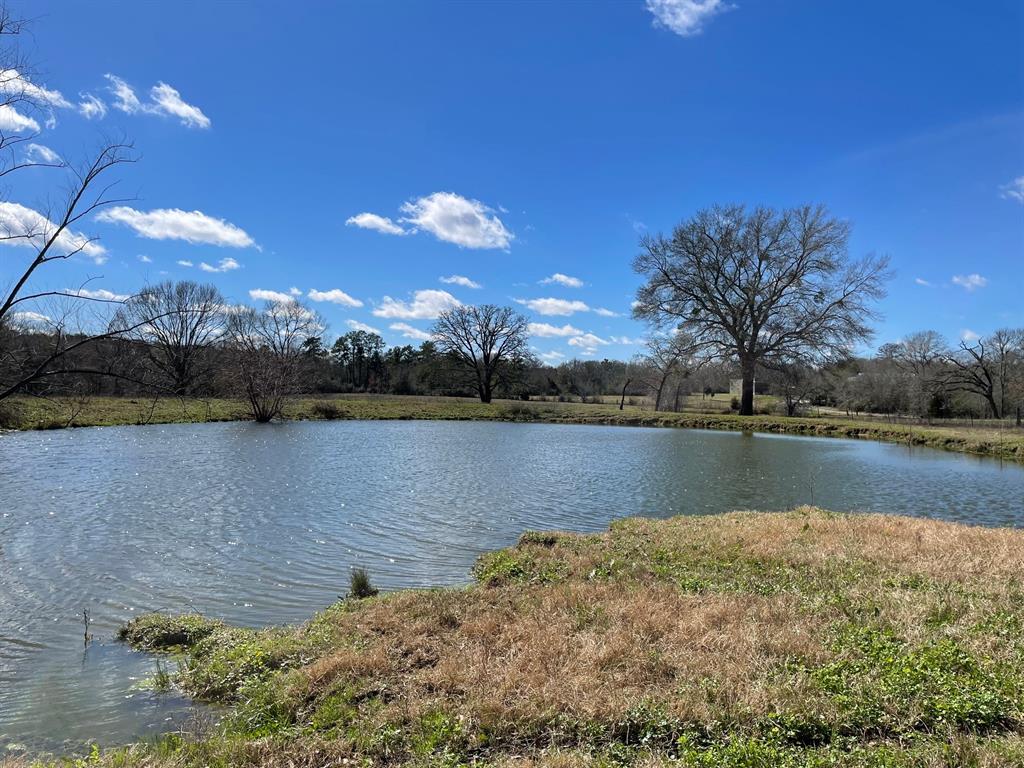 21+ acres near Montgomery's Lake Creek High School.  Rolling pasture, cross-fenced, with small paddock next to the home. Two ponds, scattered hardwoods.  Currently running cattle.  Older brick home needs repair, or build new!  Homesite shaded by majestic oaks.  Paved frontage, ag exempt.  What are you waiting for?