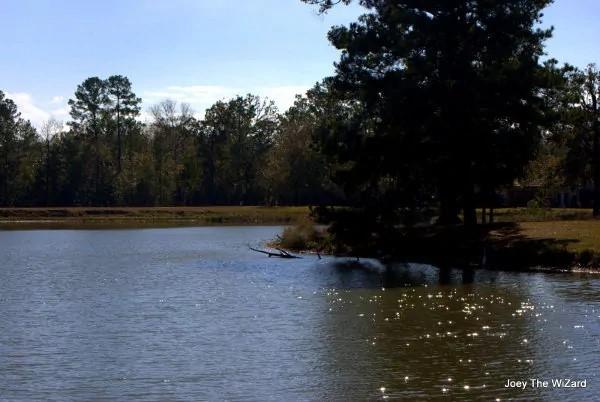 Fishing, boating, playing!!!