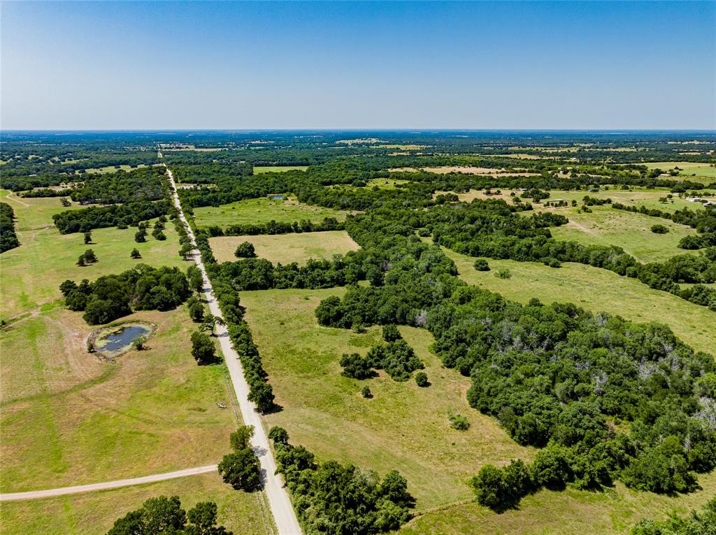 TBD Homeyer Mountain - Tract 1 Road , Carmine, Texas image 14