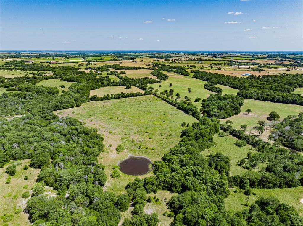 TBD Homeyer Mountain - Tract 1 Road , Carmine, Texas image 6