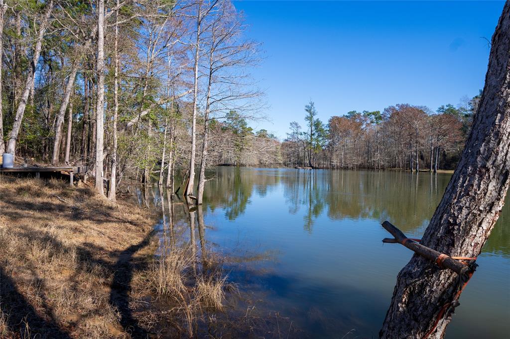 Tbd Co Road 027  , Jasper, Texas image 6