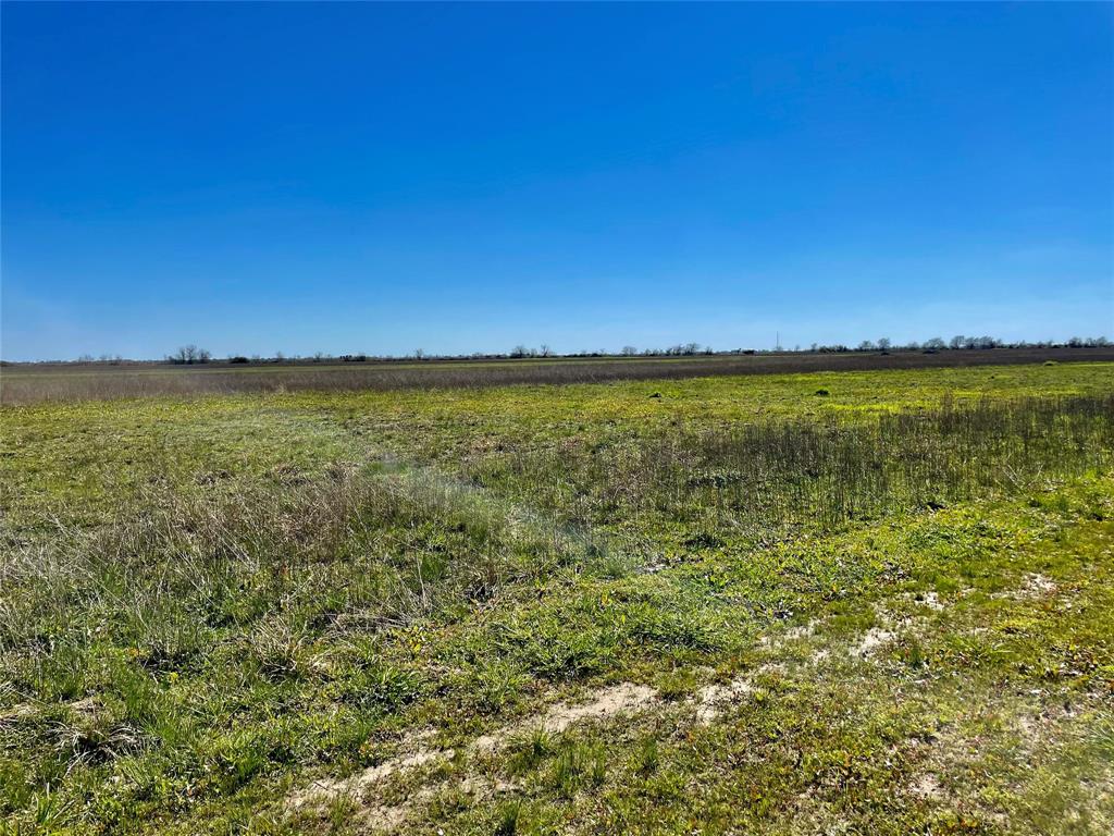 TBD Cr 210a Road , Eagle Lake, Texas image 4