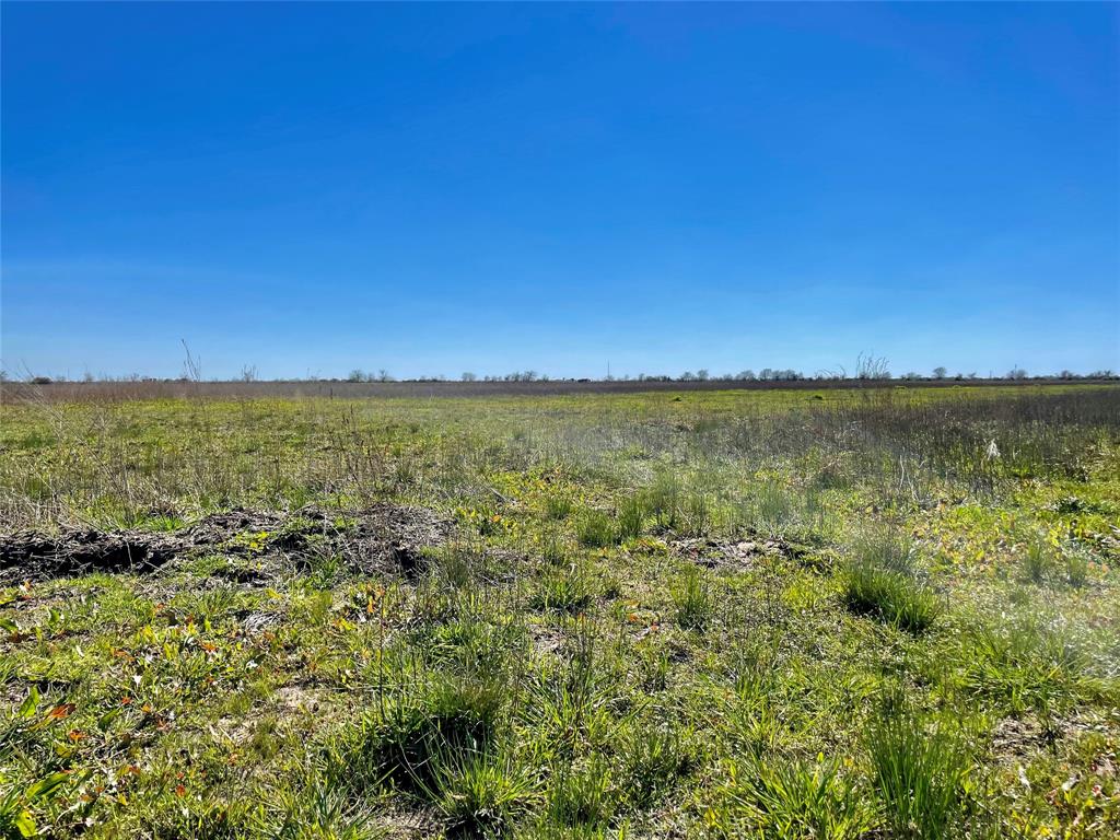 TBD Cr 210a Road , Eagle Lake, Texas image 6