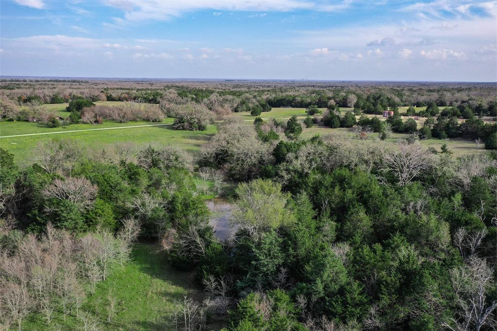 55 +/- Acres Lcr 426  , Mexia, Texas image 4