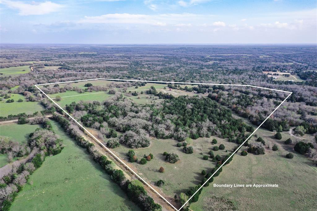 55 +/- Acres Lcr 426  , Mexia, Texas image 5