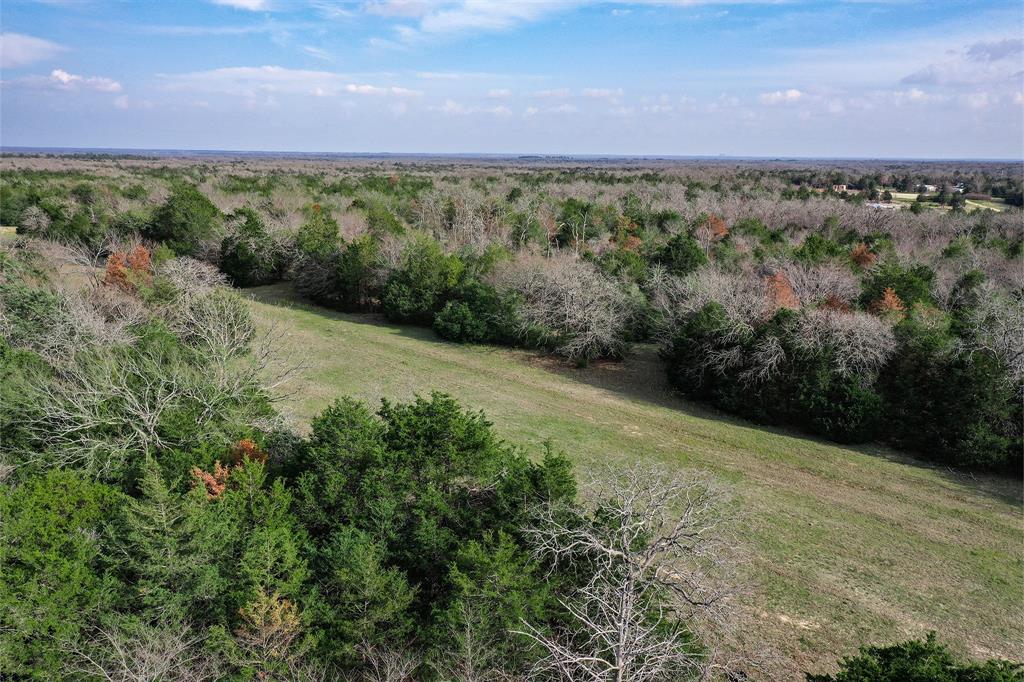 55 +/- Acres Lcr 426  , Mexia, Texas image 7