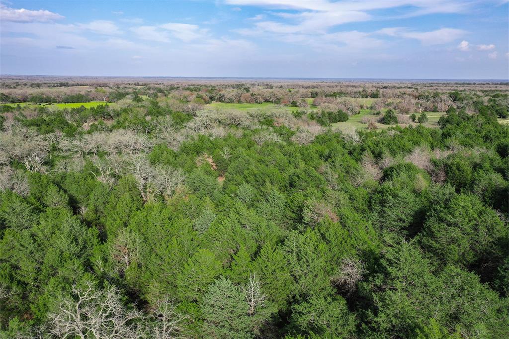 55 +/- Acres Lcr 426  , Mexia, Texas image 8