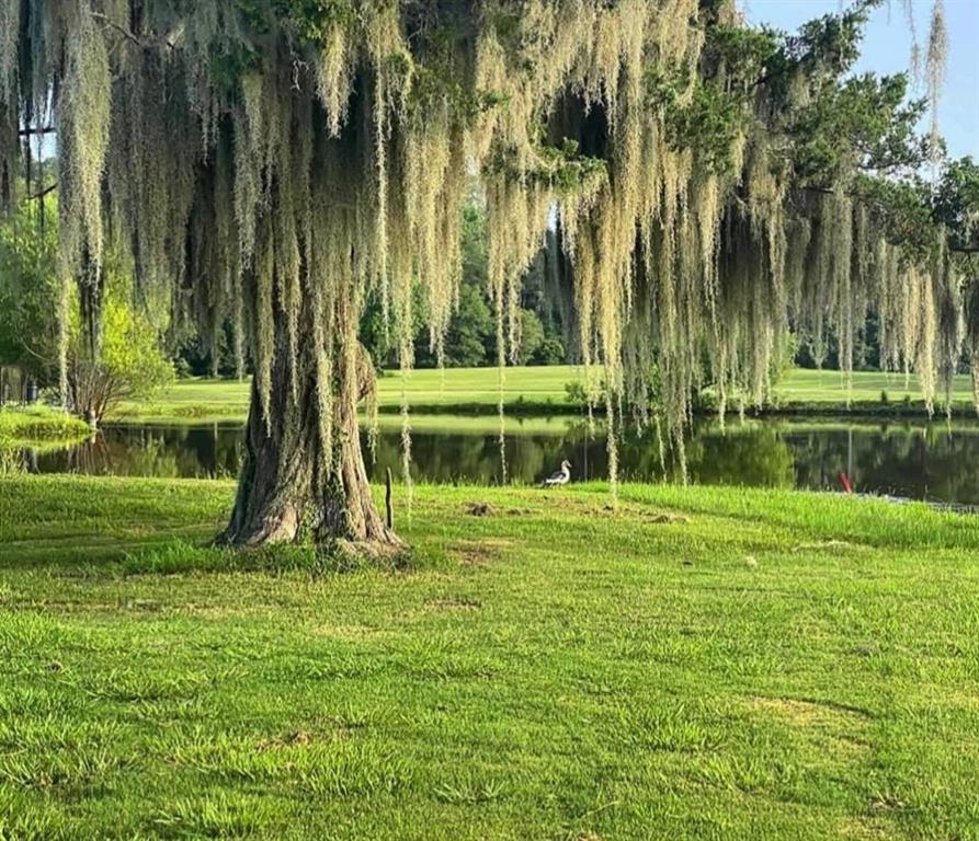 Golf Course Picture (not actual property)