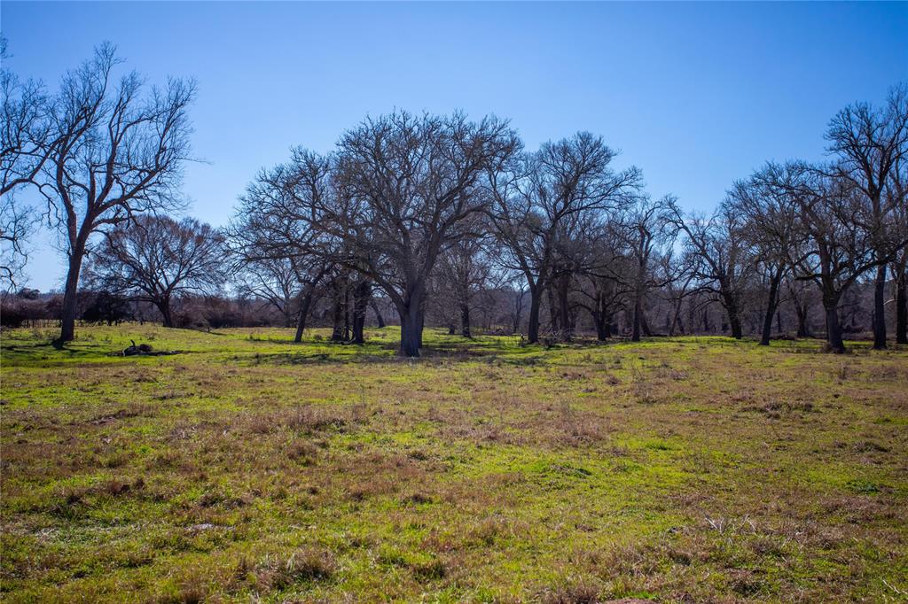 000 Shaws Bend Rd  , Columbus, Texas image 12