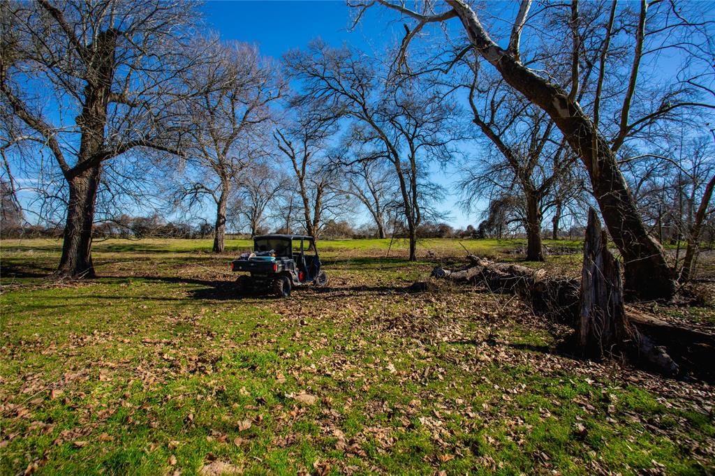 000 Shaws Bend Rd  , Columbus, Texas image 21