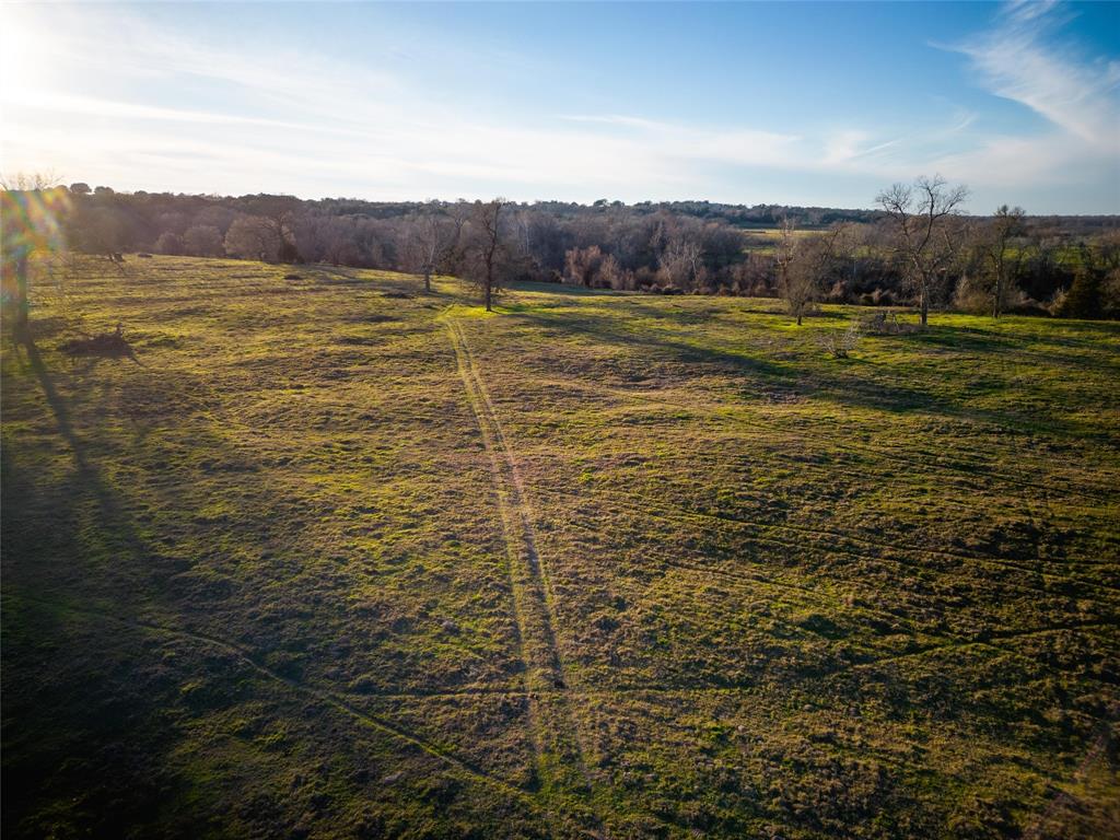 000 Shaws Bend Rd  , Columbus, Texas image 29