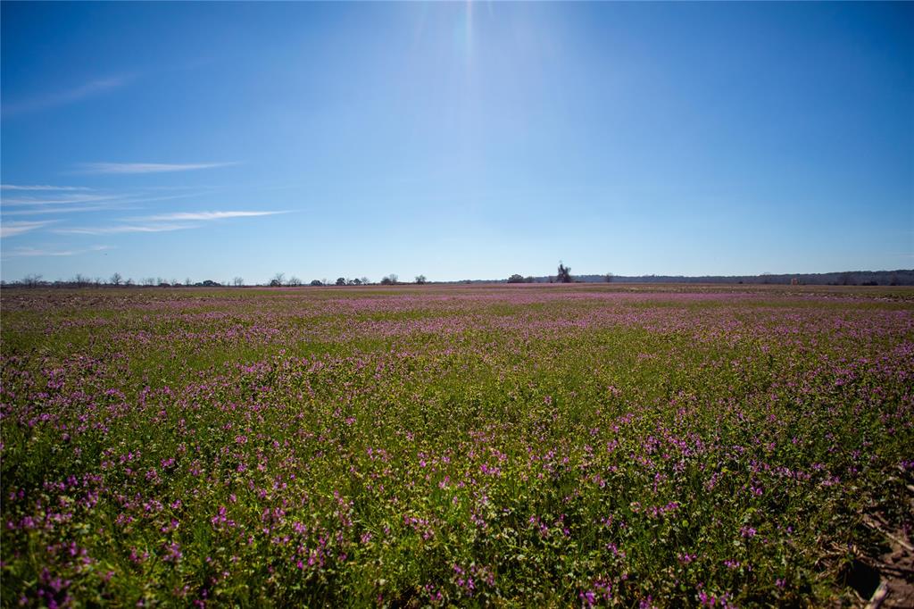 000 Shaws Bend Rd  , Columbus, Texas image 8