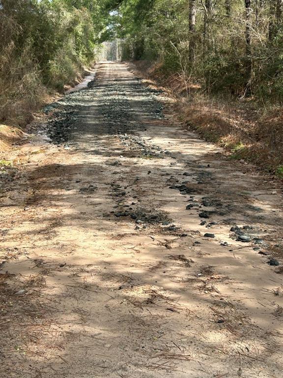 TRACT 1 Lloyd Walker Road , Huntington, Texas image 8