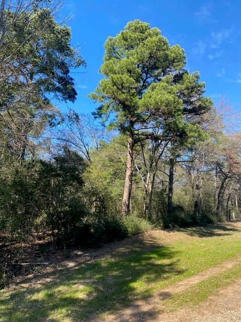 TBD Fm-3178 Corner , Centerville, Texas image 14