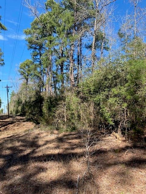 TBD Fm-3178 Corner , Centerville, Texas image 9