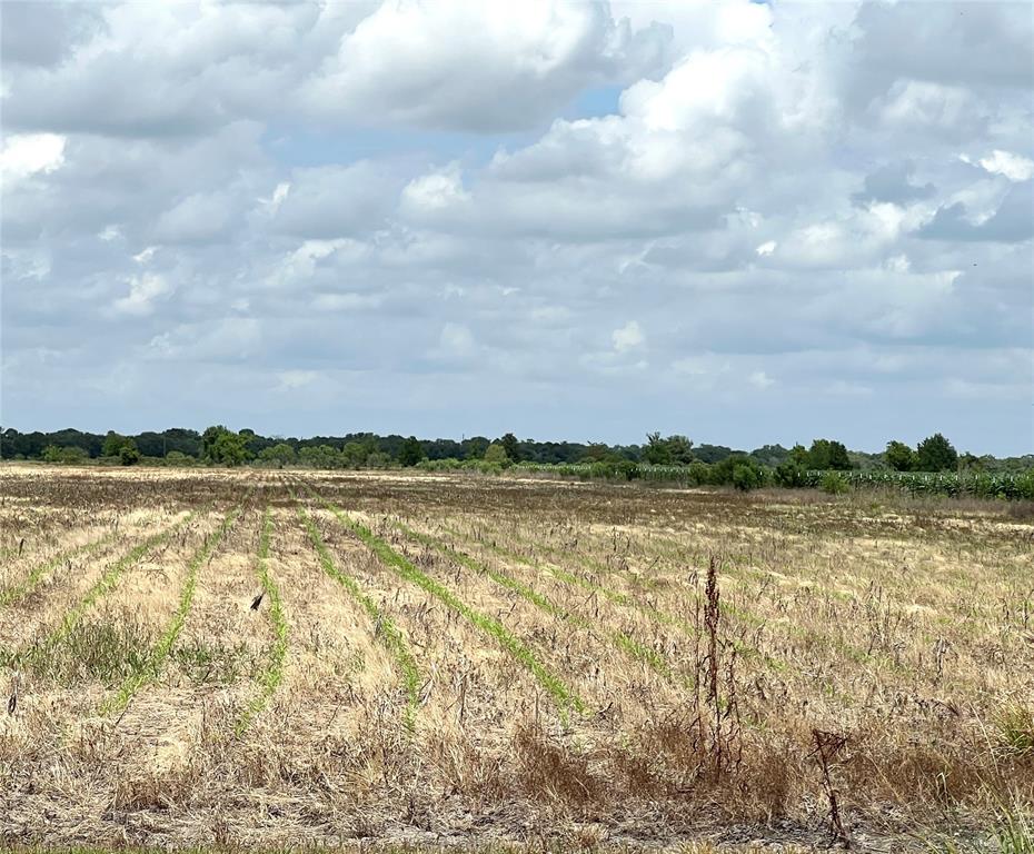 Currently in Row Crop this 20 + acres is a great investment opportunity or great place to build your forever home.  Not in a flood zone, Louise ISD.