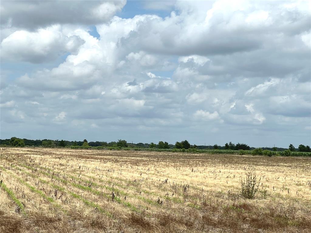 00 County Rd 390  , El Campo, Texas image 4