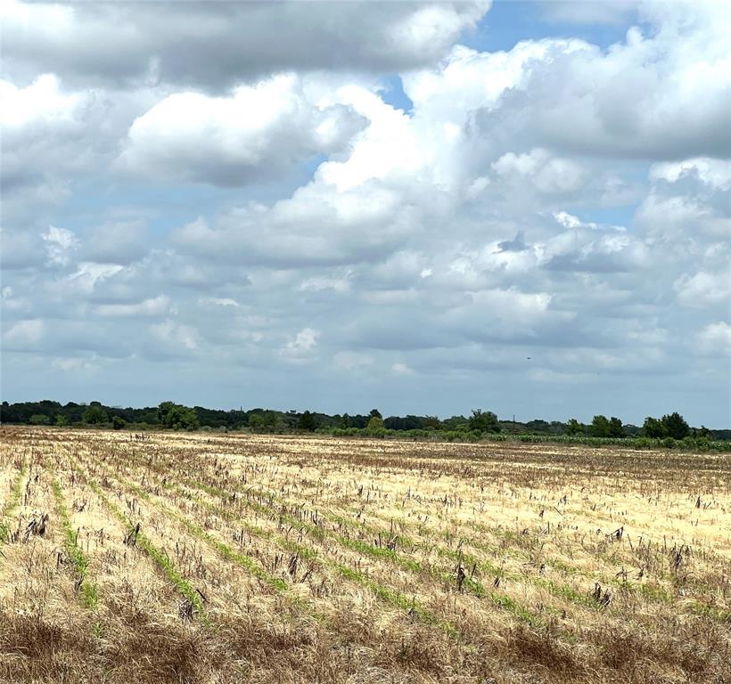 00 County Rd 390  , El Campo, Texas image 5