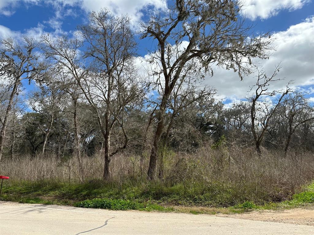 0 Forest Loop, Angleton, TX 