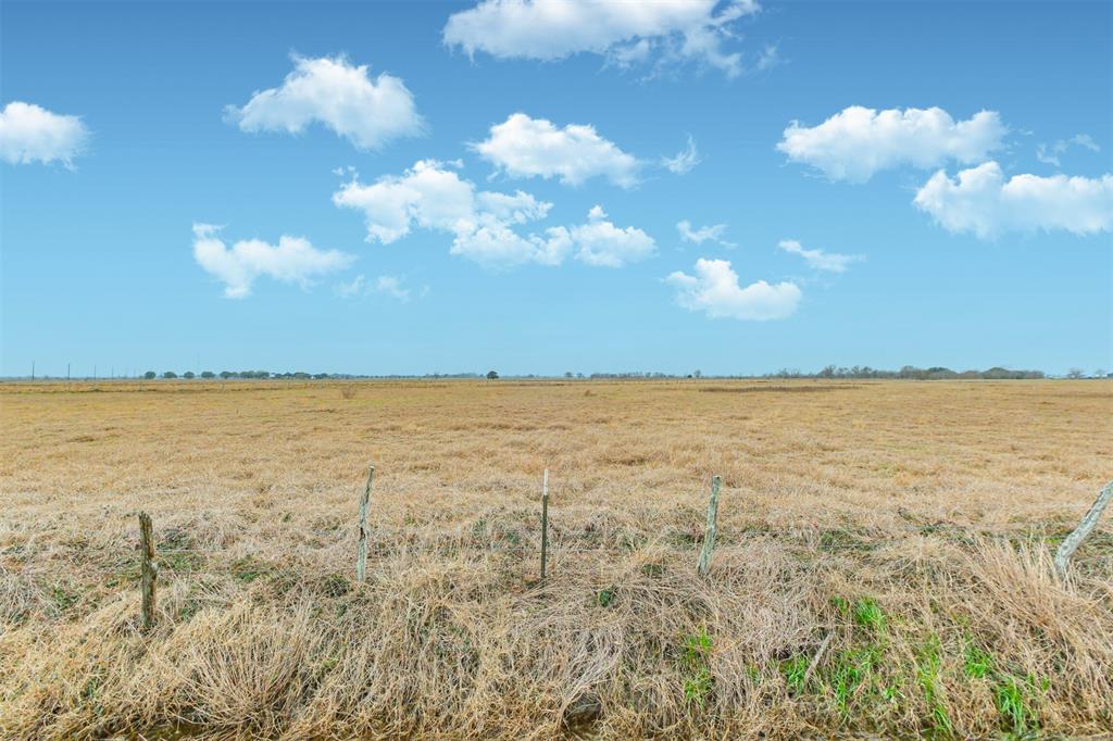 R501153 Beasley West End Road , Beasley, Texas image 6