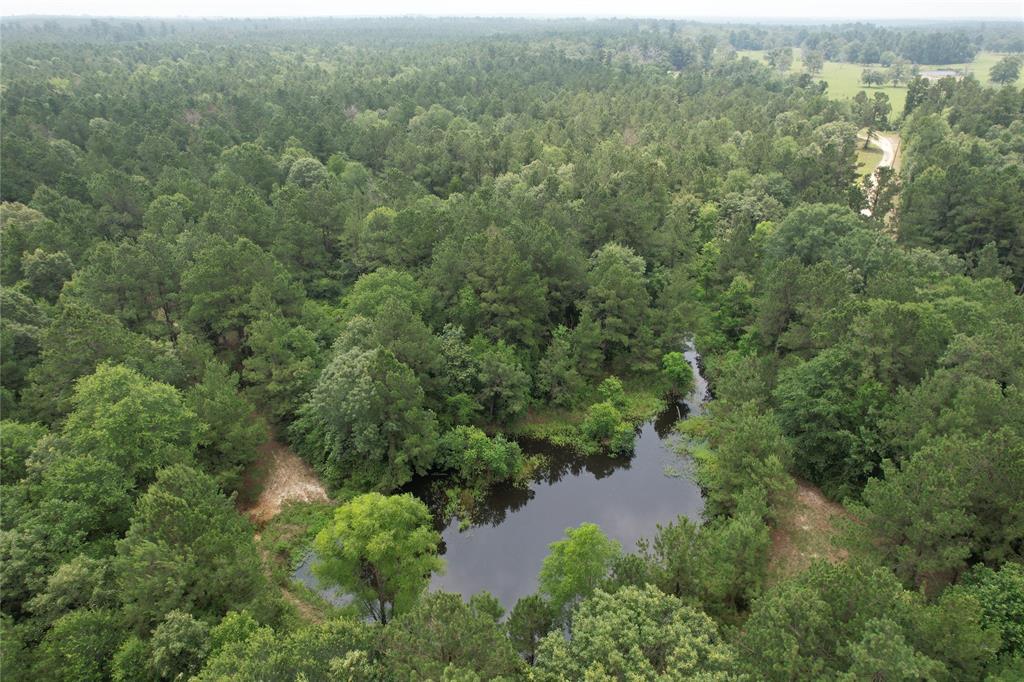 PRETTY TIMBER TRACT!
  Nestled just outside of Lovelady, TX, this 123.392-acre wooded property is full of potential. This property is a beautiful timber tract with lots of mature trees. Located on the property you will find two small fishing ponds and a few wet weather creeks. Also, on the property you will find a three bedroom, two bath double wide mobile home with plenty of extra storage space, including multiple storage sheds and a very nice 16’x40’ workshop with overhang. Next to the house, you will love the covered carport and front porch. Also on the property, you will find RV hookups and a metal RV carport cover. This tract of land is perfect for the avid hunter and has plenty of water and cover for large Houston County whitetail and other native wildlife. This property would make a great full-time living or weekend retreat. If you’re interested in a great property, give us a call today.