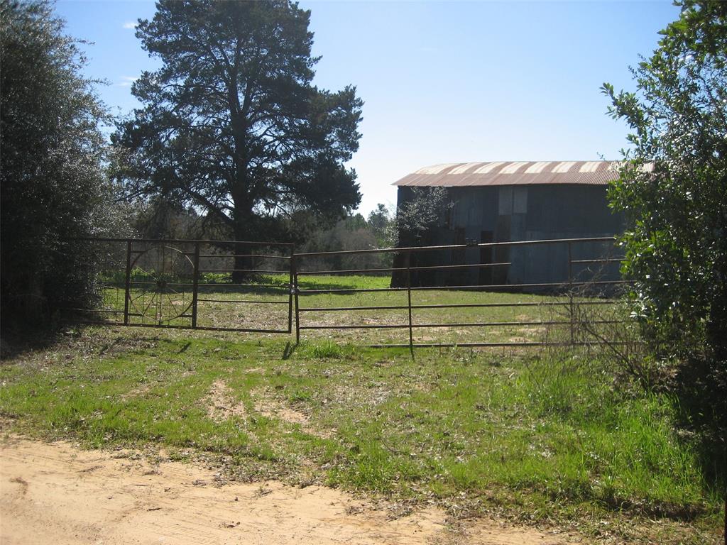 LOCATED WEST OF GRAPELAND, IN THE PROCELLA COMMUNITY, 54.528 ACRES OF ROLLING PASTURE. LARGE CREEK MEANDERS THROUGH THE PROPERTY. CURRENTLY LEASED FOR CATTLE GRAZING, THIS IS A SPECIAL LITTLE TRACT. THE PROPERTY IS FENCED, THREE ENTRANCES AND THERE ARE TWO OLD BARNS. ACCESSABLE FROM EITHER CR 1720 OR CR 1725 THIS PLACE SHOULD ALSO BE VERY SUITABLE FOR DEER/HOG HUNTING. AN ABUNDANCE OF WATER RUNNING YEAR AROUND, TWO SMALL PONDS WITH THE POTENTIAL FOR A LARGE LAKE. OPTIONS ARE OPEN ON BUILDING SITES. WATER AND ELECTRICITY AVAILABLE AT THE ROADS.