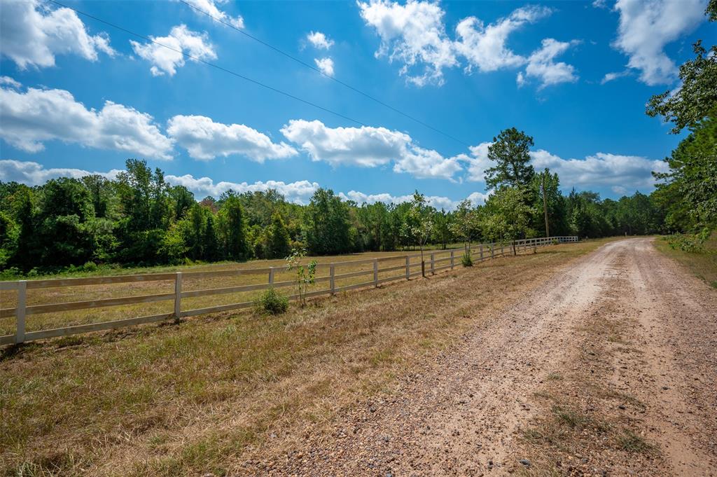 293 Blooming Dogwood  , Chester, Texas image 6