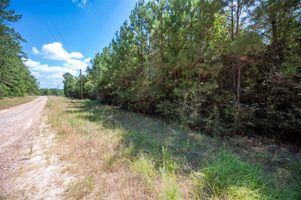 293 Blooming Dogwood  , Chester, Texas image 7