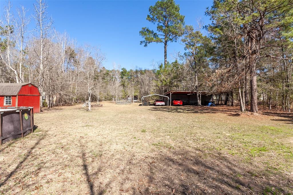 6231 Deer Park Lane , Lumberton, Texas image 17