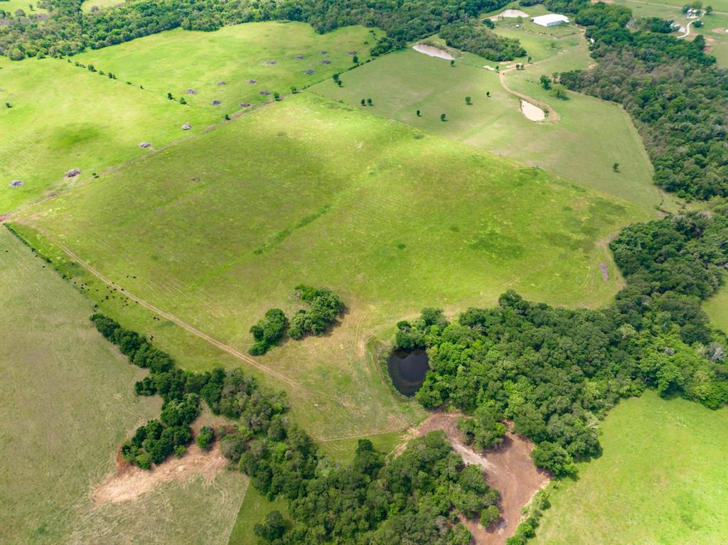 000 County Rd 245  , Kosse, Texas image 11