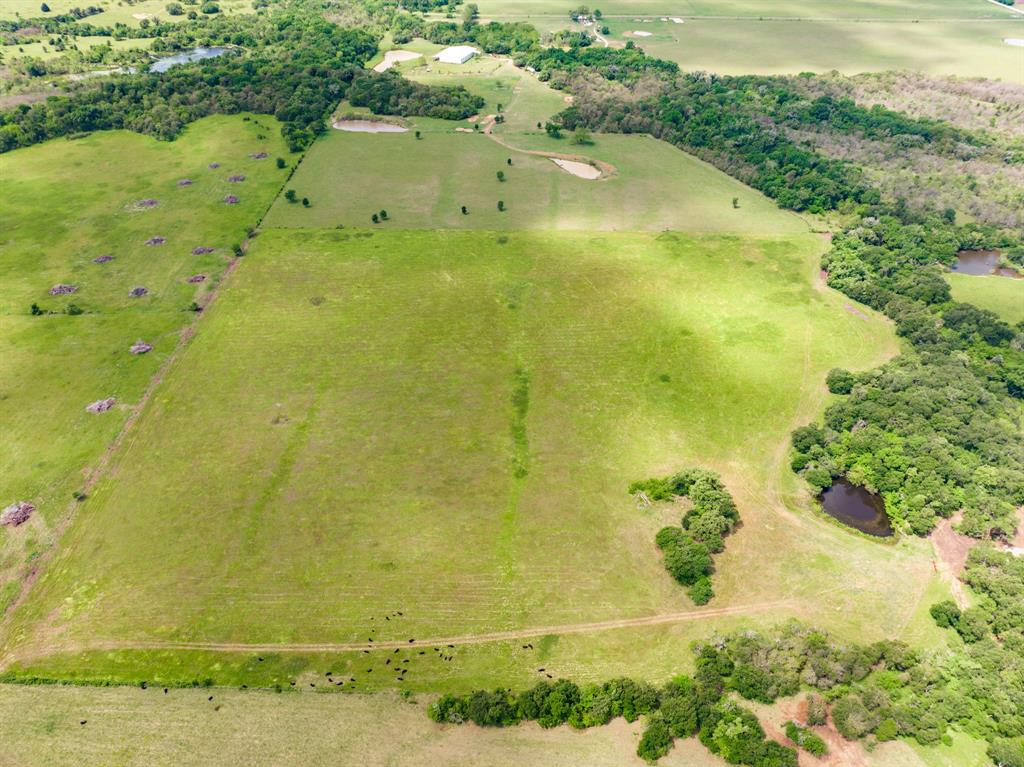 000 County Rd 245  , Kosse, Texas image 12