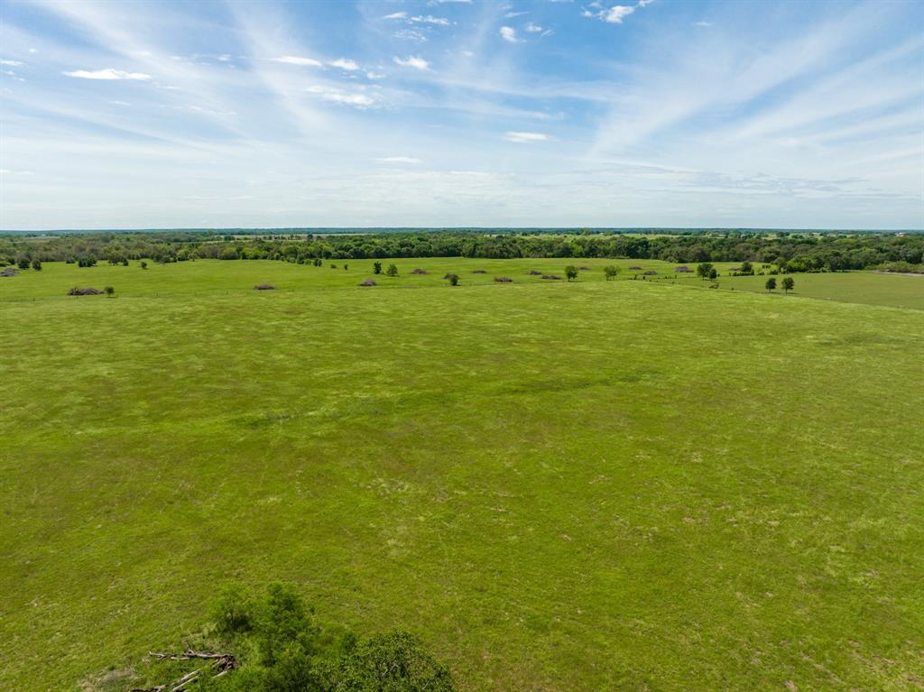 000 County Rd 245  , Kosse, Texas image 14