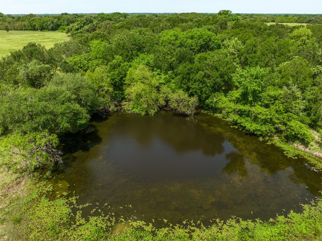 000 County Rd 245  , Kosse, Texas image 15