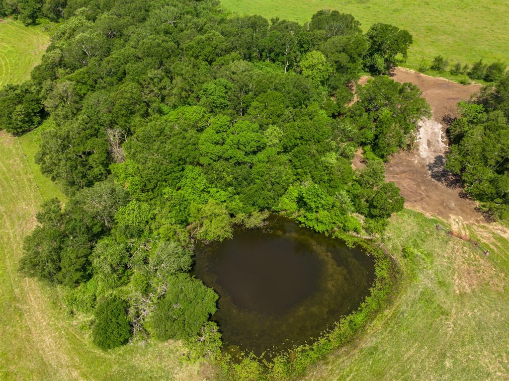 000 County Rd 245  , Kosse, Texas image 16