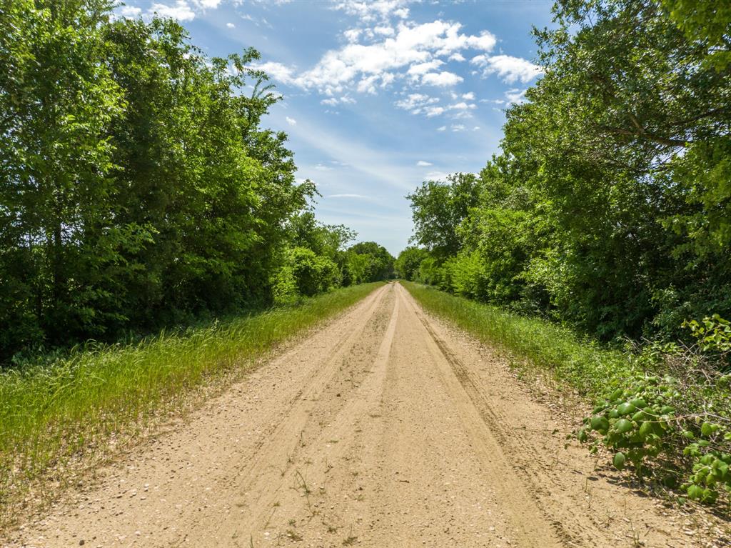 000 County Rd 245  , Kosse, Texas image 17